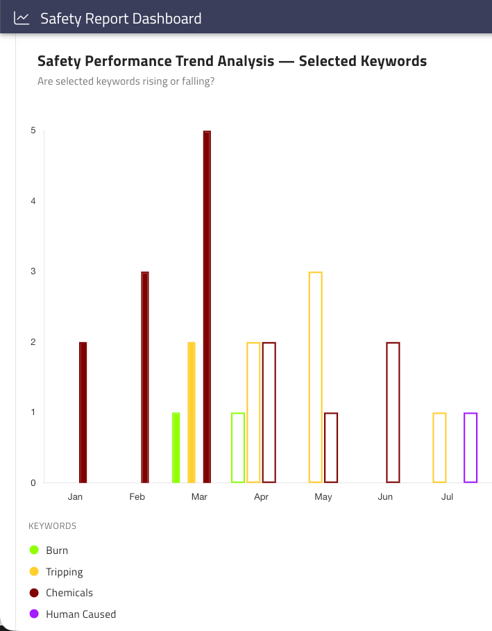 Safety Report Dashboard screenshot